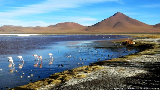 Tour Salar De Uyuni (114)