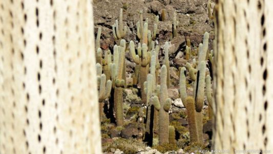 Tour Salar De Uyuni (27)