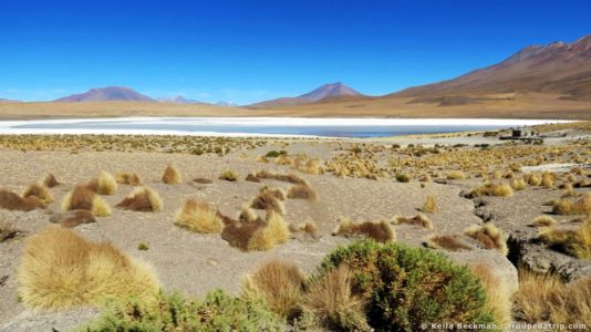 Tour Salar De Uyuni (40)