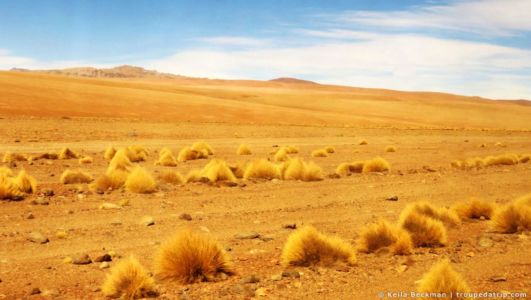 Tour Salar De Uyuni (49)