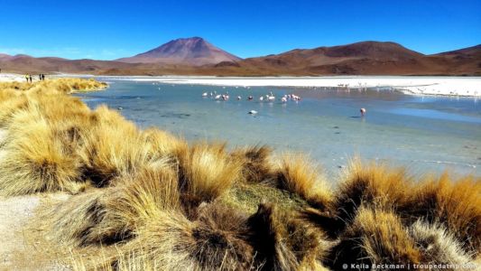 Tour Salar De Uyuni (4)