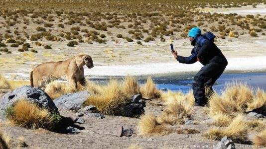 Tour Salar De Uyuni (50)