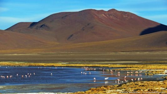 Tour Salar De Uyuni (75)