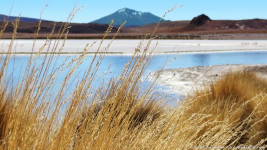 Tour Salar De Uyuni (83)