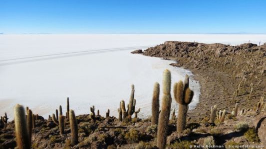 Tour Salar De Uyuni (91)