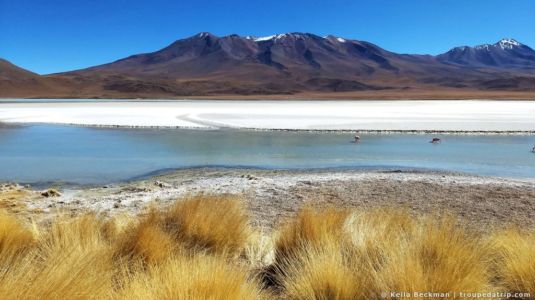 Tour Salar De Uyuni (93)