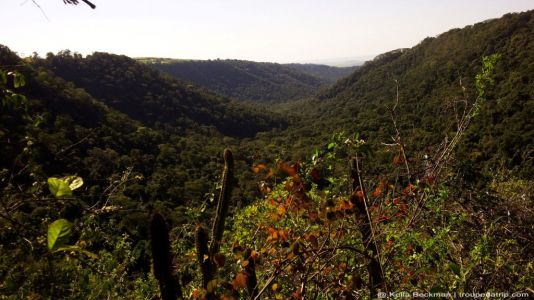 Cachoeiras-da-pavuna (1)