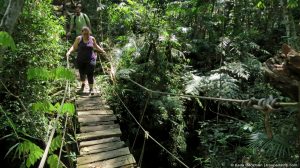 Trilha das Nascentes nas Três Pedras