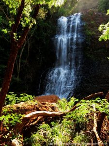 Cachoeira da Pavuna em época seca